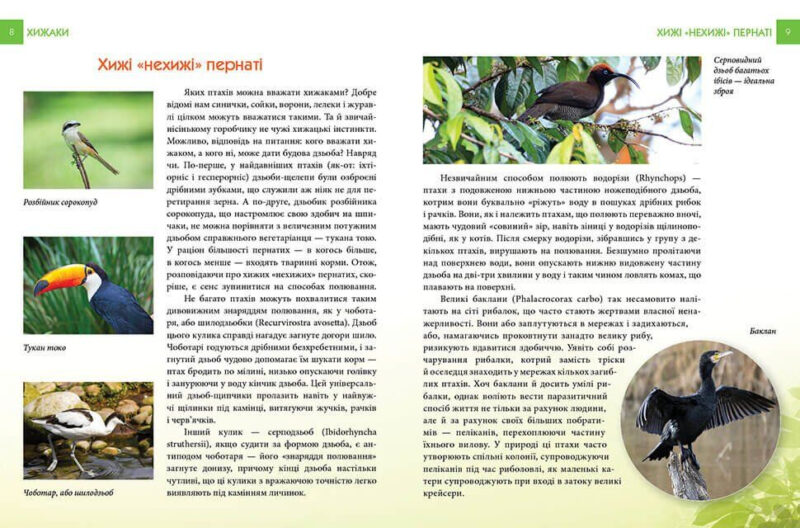 Енциклопедія для допитливих. Хижаки (Укр) Талант (9789669355874) (306002) - Зображення 5