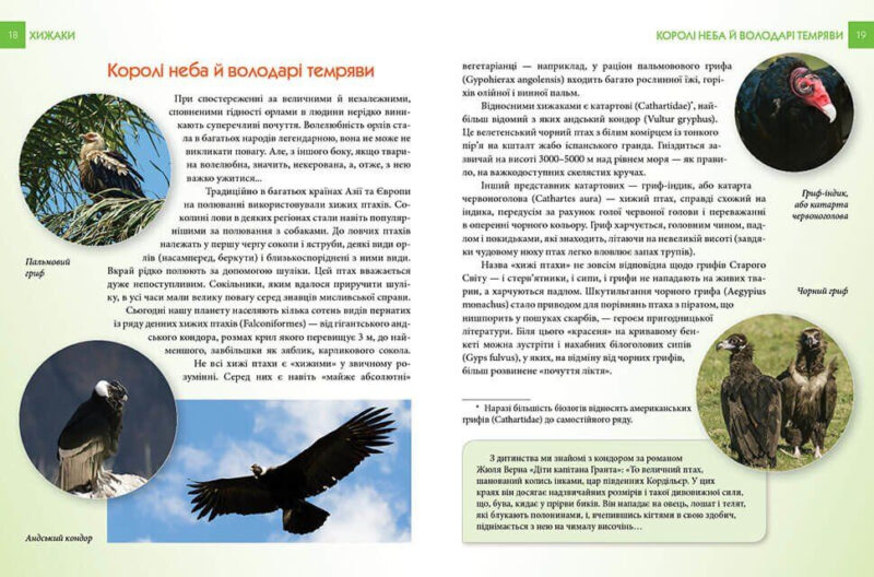Енциклопедія для допитливих. Хижаки (Укр) Талант (9789669355874) (306002) - Зображення 6