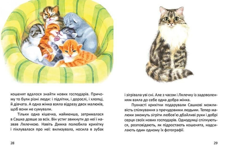 Малятам про звірят (Укр) Талант (9789669352453) (460474) - Зображення 7
