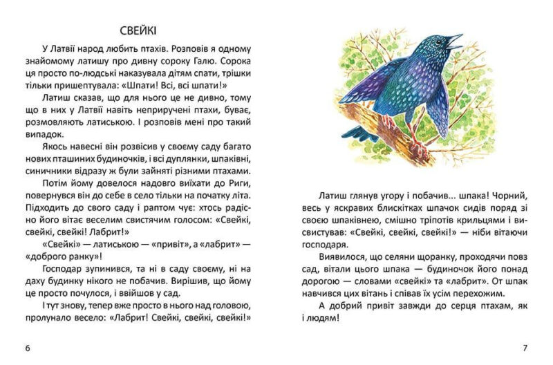 Малятам про звірят (Укр) Талант (9789669352453) (460474) - Зображення 8