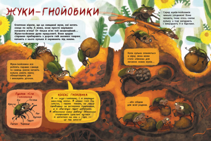 Книжки для розумак: Таємне життя комах (Укр) АРТ АРТ20002У (9786170971906) (457583) - Зображення 3