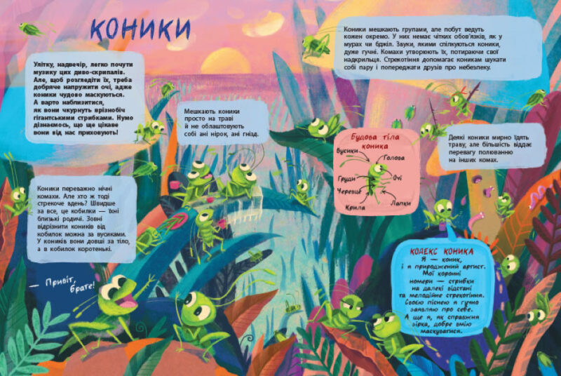 Книжки для розумак: Таємне життя комах (Укр) АРТ АРТ20002У (9786170971906) (457583) - Зображення 4