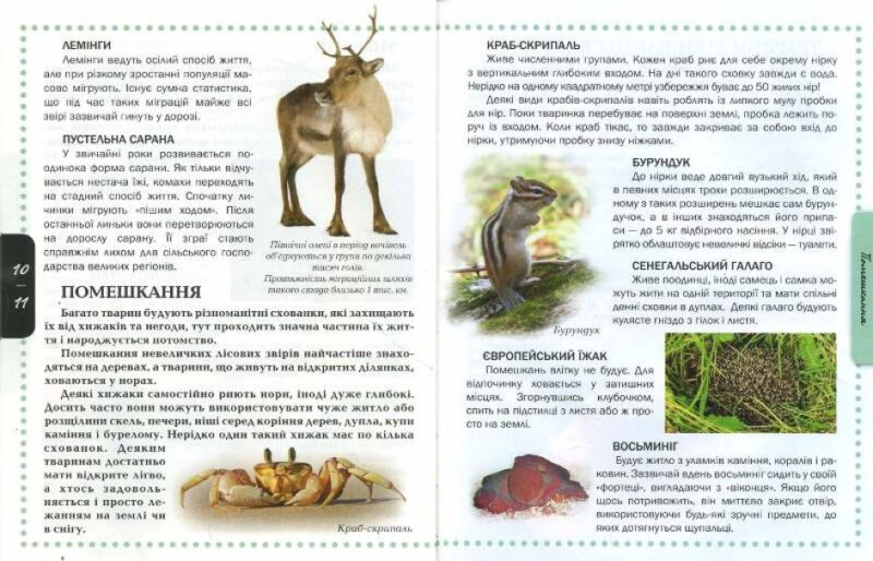 Енциклопедія для допитливих Тварини (Укр) Талант (9786176950264) (467423) - Зображення 3
