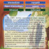 Алі-Баба та сорок розбійників. Читаю англійською Pre-Intermediate (Англ) Арій (9789664985731) (287072) - Зображення 5