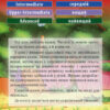 Англійські народні казки. Читаю англійською Elementary (Англ) Арій (9789664984390) (287096) - Зображення 2