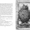 Бабайка. Туутіккі Толонен (Укр) Школа (9789664296639) (468459) - Зображення 4