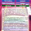 Принцеса на горошині. Андерсен Г. К. Читаю англійською Beginner (Англ) Арій (9789664986035) (289945) - Зображення 4