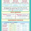 Українська мова 3 - 4 клас. Наочність нового покоління. Плакати (Укр) Ранок Н100038У (9789667478537) (462137) - Зображення 6