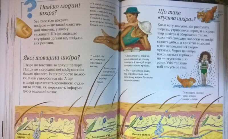 Енциклопедія Велика книга Чому (Укр) Рідна мова (9789669172372) (312087) - Зображення 3