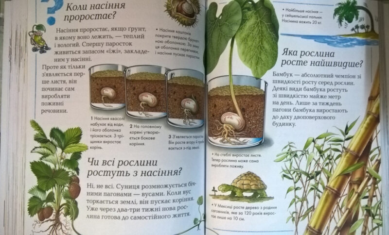 Енциклопедія Велика книга Чому (Укр) Рідна мова (9789669172372) (312087) - Зображення 4