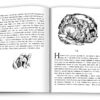 Невидимець Герберт Веллс (Укр) КМ-Букс 342693 (9788617538246) (294211) - Зображення 3