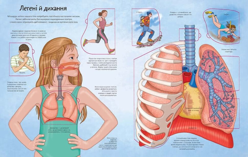 Цікаве всередині: ТІЛО Елеонора Барзотті (Укр) Талант (9789669358837) (471430) - Зображення 2