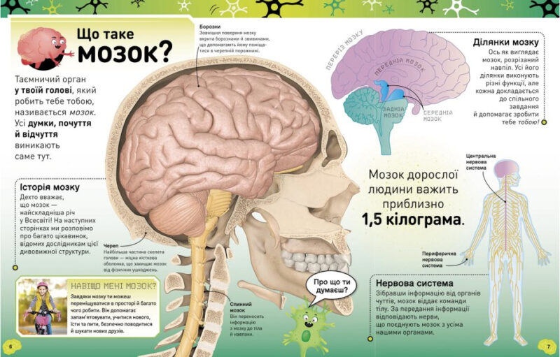 Карколомний мозок. Імпульсивні нейрони, мінливі синапси, хвостаті аксони (Укр) Ранок Н902131У (9786170973856) (464446) - Зображення 4