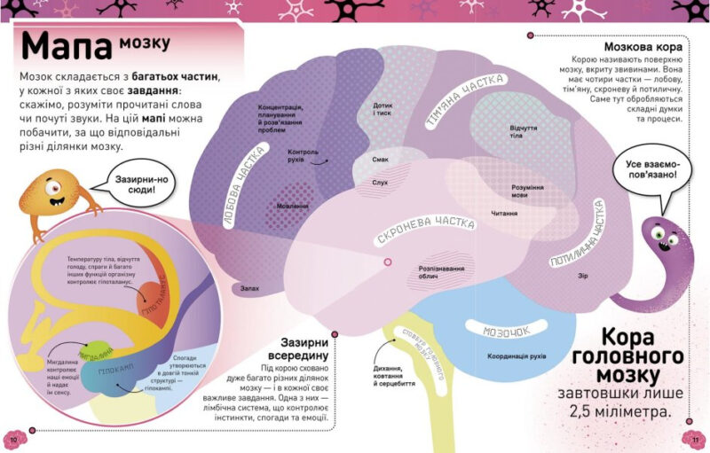 Карколомний мозок. Імпульсивні нейрони, мінливі синапси, хвостаті аксони (Укр) Ранок Н902131У (9786170973856) (464446) - Зображення 6