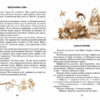 Квітка сонця Василь Сухомлинский (Укр) Школа (9789664297315) (469210) - Зображення 2