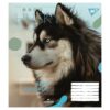 Зошит учнівський Animal 18 аркушів, клітинка. YES 764975 (4823092260048) (473351) - Зображення 2