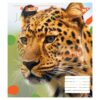 Зошит учнівський Animal 18 аркушів, клітинка. YES 764975 (4823092260048) (473351) - Зображення 5