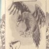 Коли Онисько був малесенький. Сашко Дерманський (Укр) Теза (9789664212578) (294833) - Зображення 2