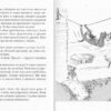 Вафельне серце. Марія Паар (Укр) Теза (9789664212134) (279020) - Зображення 2