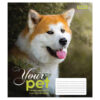 Зошит учнівський 18 аркушів, лінія. Dog loyality. 1 Вересня 765431 (4823092218629) (474411) - Зображення 5