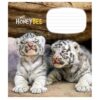 Зошит учнівський 12 аркушів, клітинка. My honey bee. Star 2944K (4820006472054) (474413) - Зображення 2