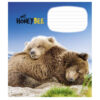 Зошит учнівський 12 аркушів, клітинка. My honey bee. Star 2944K (4820006472054) (474413) - Зображення 3