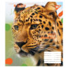 Зошит учнівський 18 аркушів, лінія. Animal. YES 764981 (4823092260246) (474418) - Зображення 5