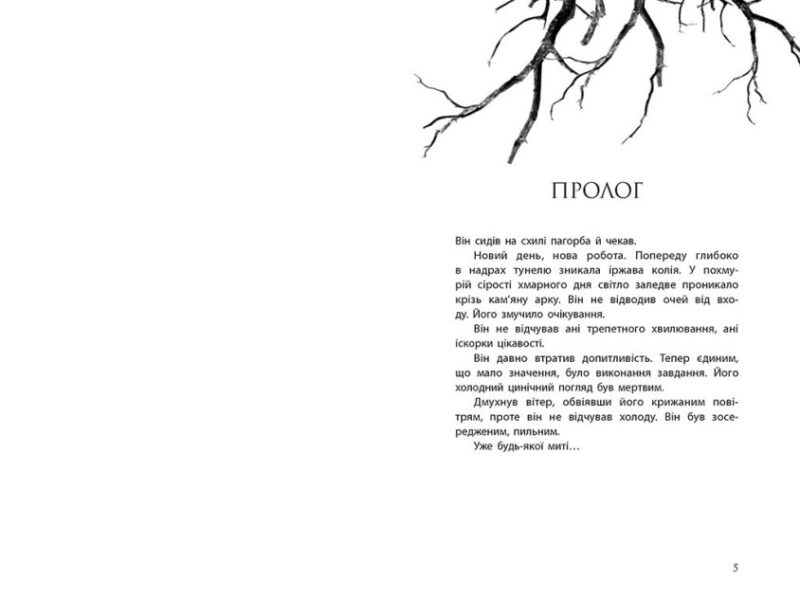 Провідник Клер Мак-Фолл (Укр) Readberry (9786170972668) (468749) - Зображення 2