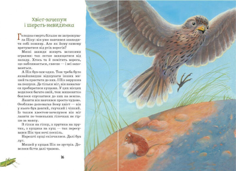 Оповідання та казки про тварин. Віталій Біанкі (Укр) Школа (9789664297254) (474302) - Зображення 3