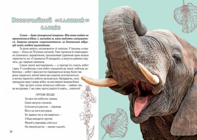 Вусохвості й лапокрилі. Читанка про тварин. Володимир Верховень (Укр) Талант (9789669359483) (465002) - Зображення 3
