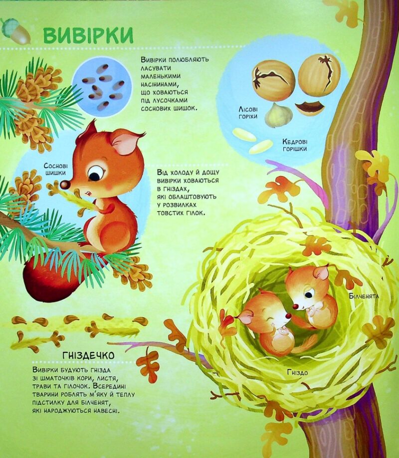 Як живуть крихітні створіння. Елеонора Барзотті (Укр) Vivat (9789669823939) (476005) - Зображення 2