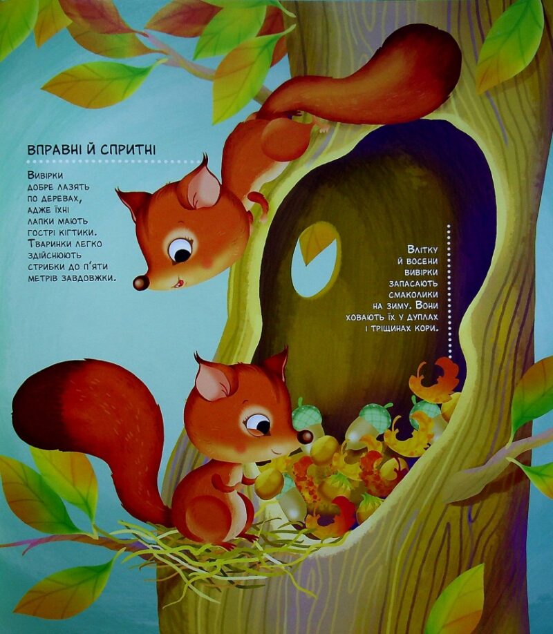 Як живуть крихітні створіння. Елеонора Барзотті (Укр) Vivat (9789669823939) (476005) - Зображення 3