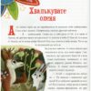 Дитячий етикет у казках. Добрі справи. Олена Ульєва (Укр) ПЕТ (9789669253330) (476062) - Зображення 2