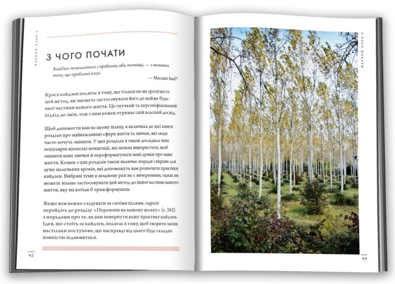 Кайдзен. Японський підхід до поступової зміни. Сара Харві (Укр) КМ-Букс (9789669483966) (476320) - Зображення 2