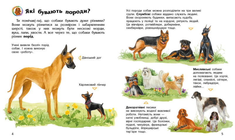 Енциклопедія дошкільника. Собаки (Укр) Ранок (9786170976819) (473722) - Зображення 2