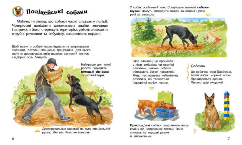Енциклопедія дошкільника. Собаки (Укр) Ранок (9786170976819) (473722) - Зображення 3