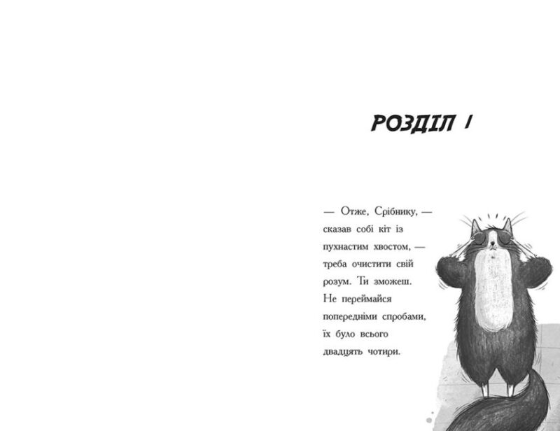 Тото. Кішка-ніндзя та справа про викрадення сиру. Книга 2 (Укр) Ранок (9786170974327) (473429) - Зображення 4