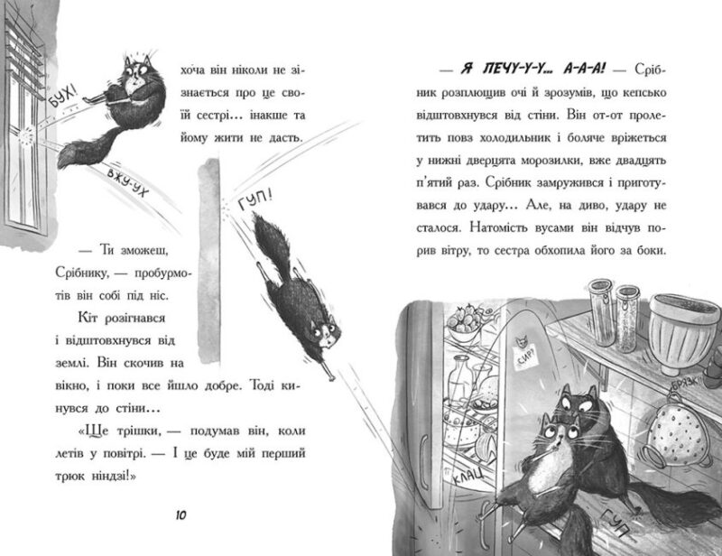 Тото. Кішка-ніндзя та справа про викрадення сиру. Книга 2 (Укр) Ранок (9786170974327) (473429) - Зображення 6