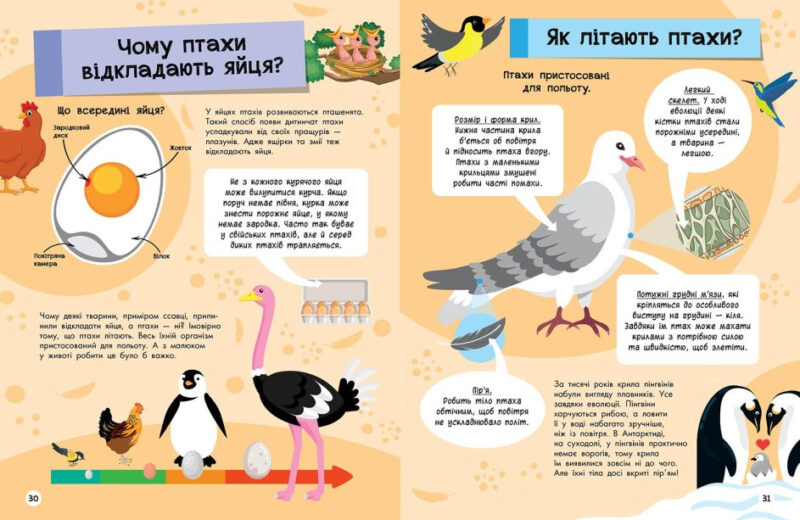 Велика енциклопедія для чомусика (Укр) Ранок N901723У (9786170976307) (477437) - Зображення 3