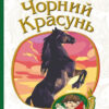 Чорний красунь. Повість. Сьюел Анна (Укр) Богдан (9789661063227) (481437)