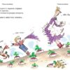 Дивовижні казки перед сном (Укр) КМ-Букс (9789669481535) (305951) - Зображення 2