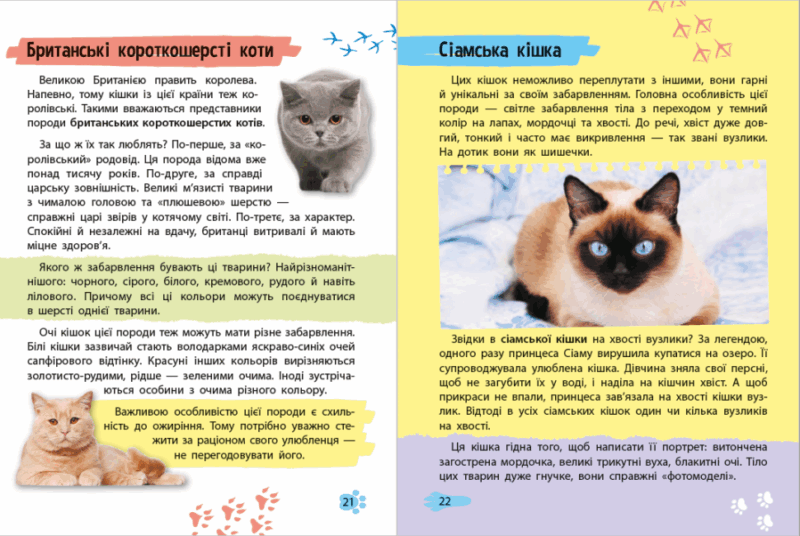 Хатні улюбленці. Мініенциклопедія. Воронков К. (Укр) Vivat (9789669827241) (483084) - Зображення 2