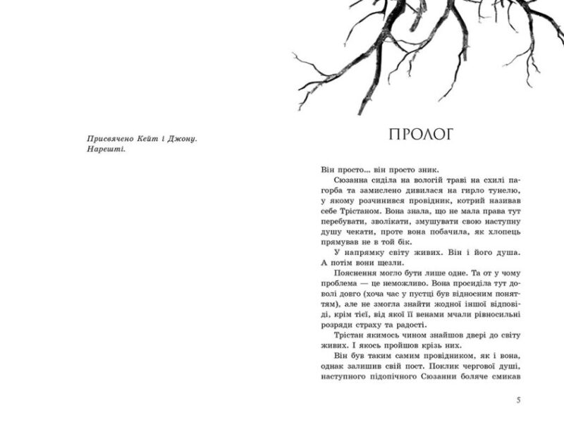 Порушники. Провідник. Клер Мак-Фолл. Книга 2 (Укр) Readberry (9786170972675) (480357) - Зображення 2