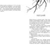 Порушники. Провідник. Клер Мак-Фолл. Книга 2 (Укр) Readberry (9786170972675) (480357) - Зображення 3