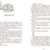 Шалений шлях додому. Софі Кетлі (Укр) Ранок (9786170976666) (480432) - Зображення 4