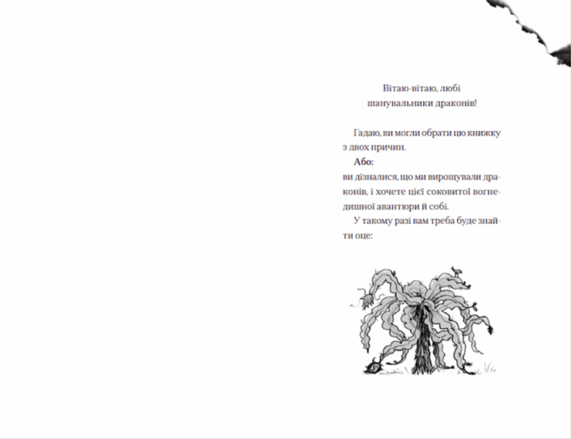 Хлопчик, який жив з драконами. Книга 2 (Укр) ВСЛ (9789666799916) (483738) - Зображення 2