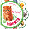 Малята на подвір'ї + Аудіо-бонус. Сонечко І. (Укр) Ранок (9789667508586) (479648)