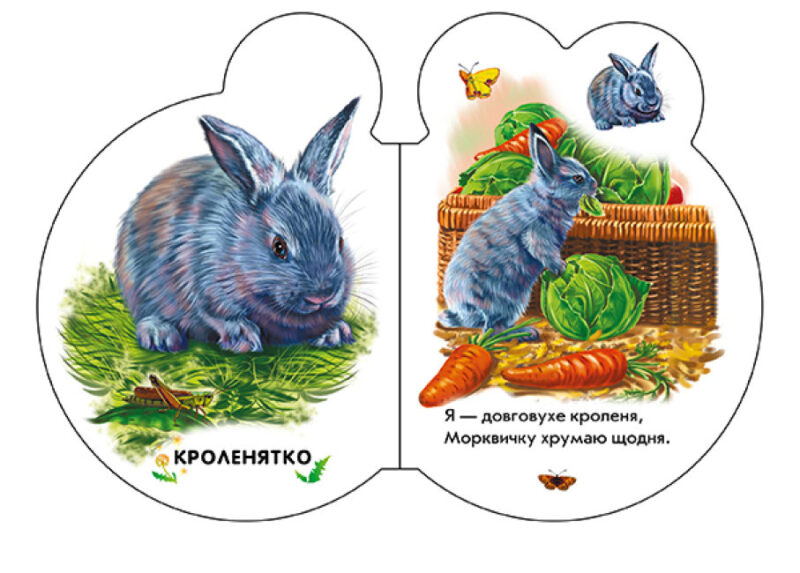 Малята на подвір'ї + Аудіо-бонус. Сонечко І. (Укр) Ранок (9789667508586) (479648) - Зображення 3