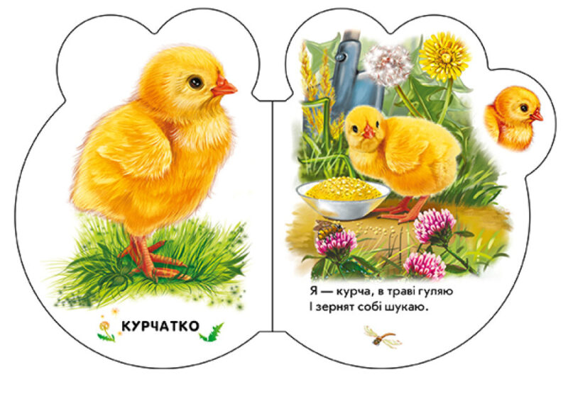 Малята на подвір'ї + Аудіо-бонус. Сонечко І. (Укр) Ранок (9789667508586) (479648) - Зображення 4
