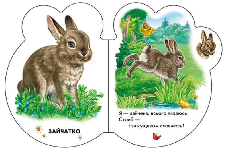 Малята у лісі + Аудіо-бонус. Сонечко І. (Укр) Ранок (9789667508609) (479657) - Зображення 4